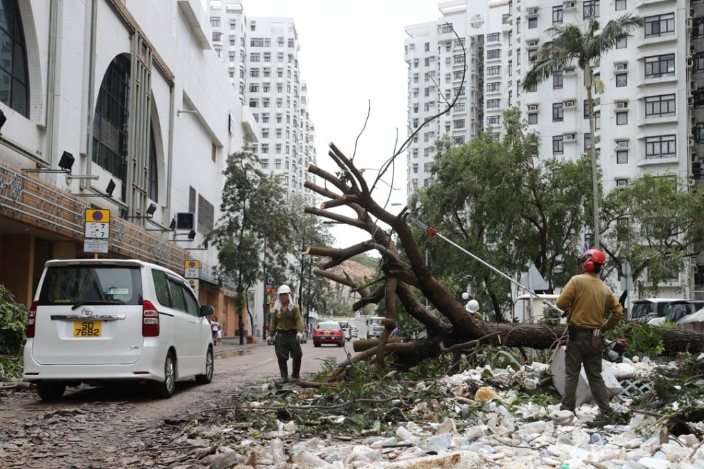 Workers remove toppled trees in Heng Fa Chuen on Hong Kong Island on September 17, a day after Typhoon Mangkhut caused widespread damage around the city. Photo: Winson Wong