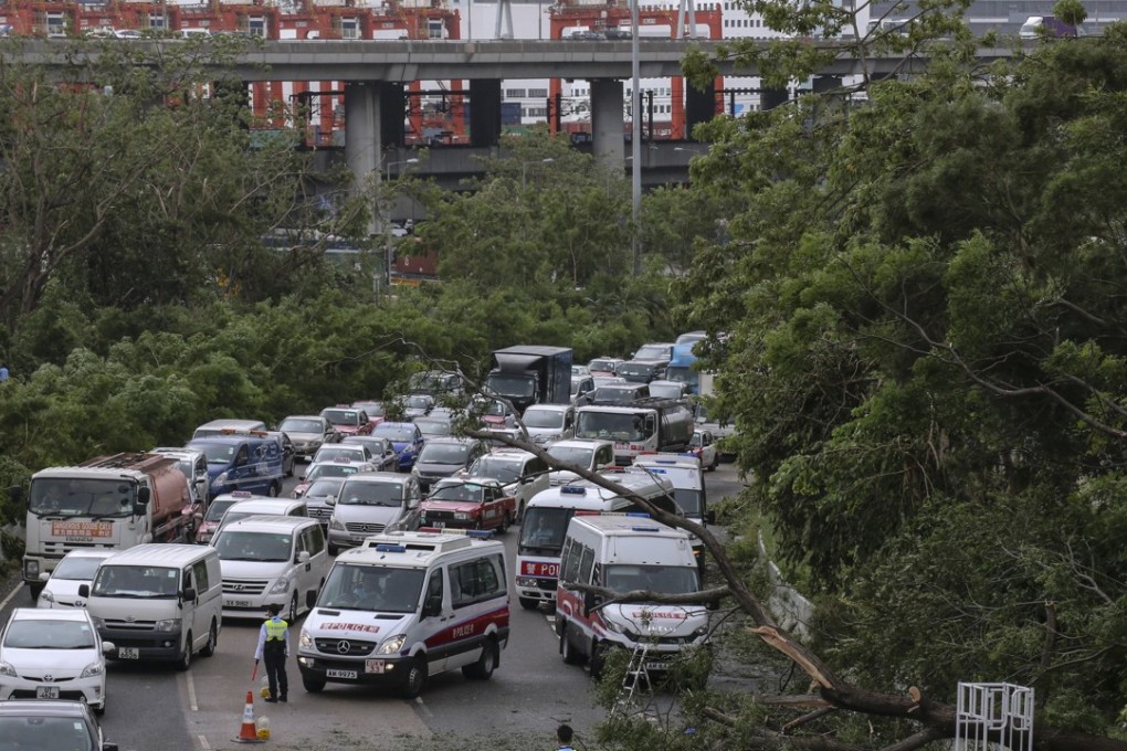 A fallen tree in Kwai Chung brings traffic to a standstill on September 17. Photo: Felix Wong