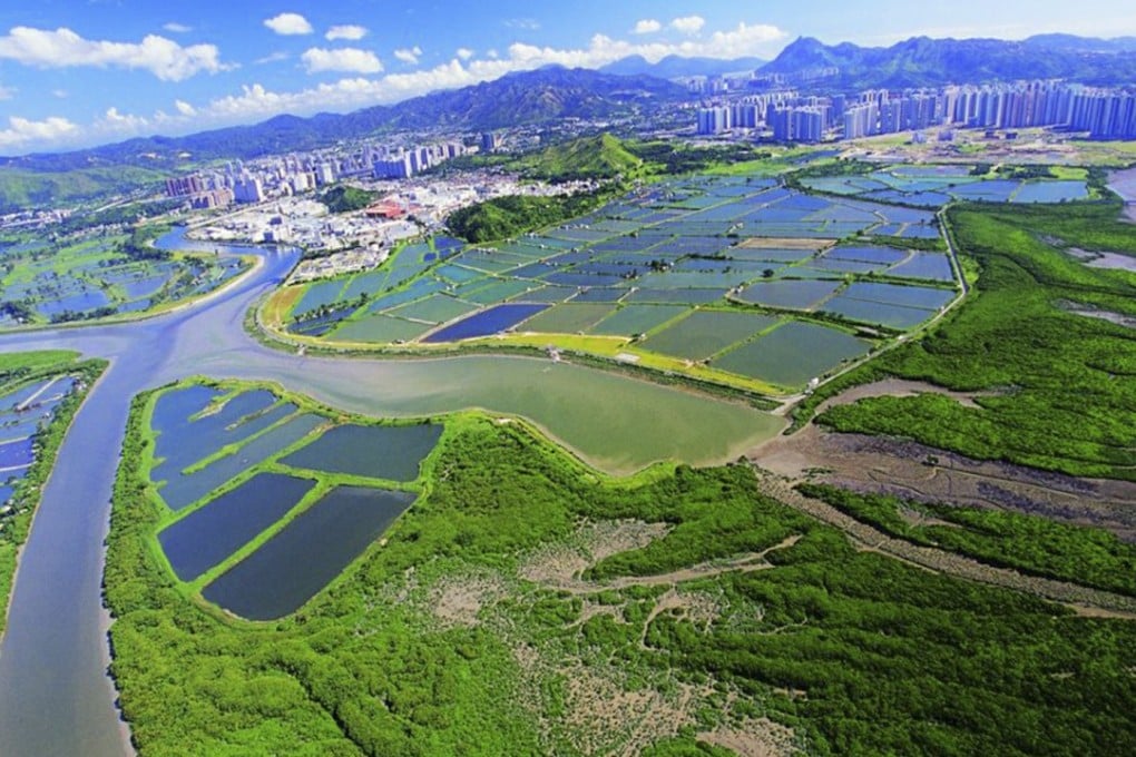 Hong Kong’s Ramsar Site near Deep Bay in 2003. Urbanisation and other persistent threats have shrunk such areas around the city over the decades. Photo: Handout