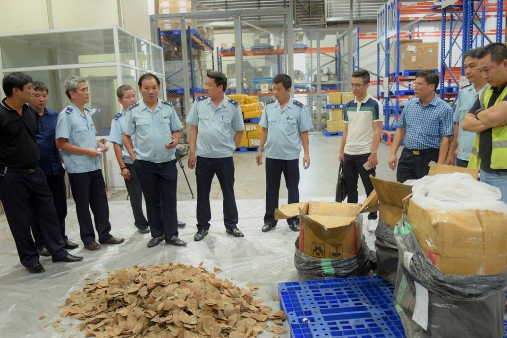 Vietnamese customs officials checking pangolin scales seized in Hanoi. Photo: AFP