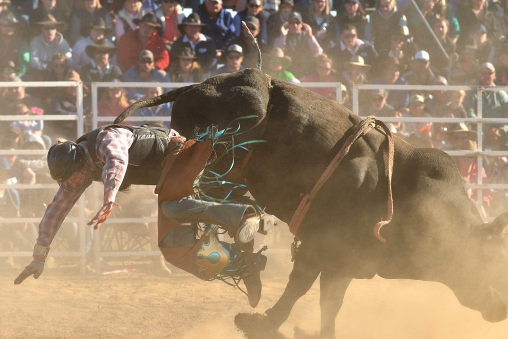A bull-rider during the rodeo at the annual Deni Ute Muster. Photo: AFP