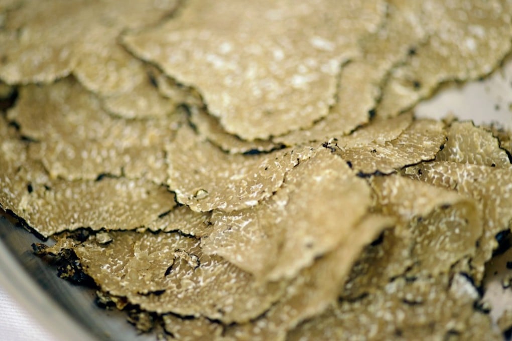 White truffle season is upon us again, which will have Hongkongers eagerly reaching for their wallets to assert their status as luxury diners. Photo: Alamy