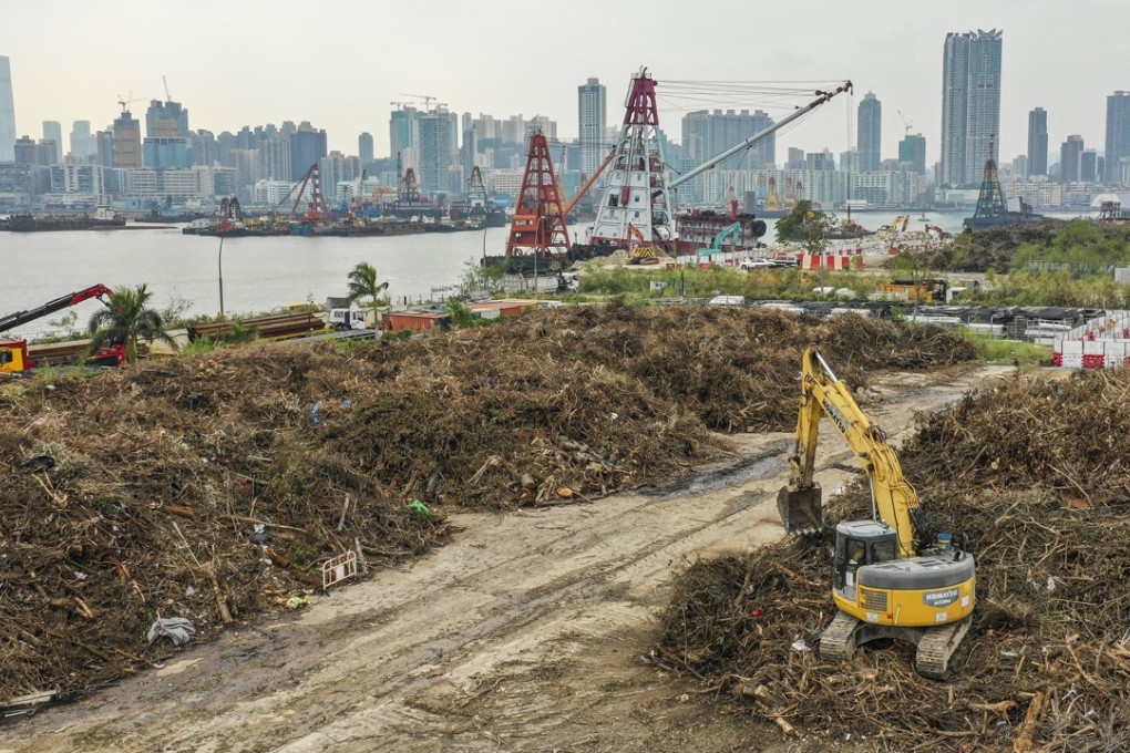 The government has piled a mass of tree waste at the former Kai Tak airport site. Photo: Winson Wong
