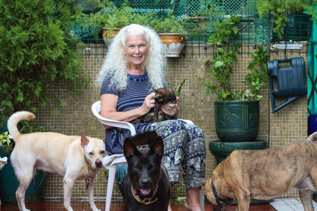 Jacqui Green at PALS in Mui Wo with some of the stray animals she has rescued. Photo: K.Y. Cheng