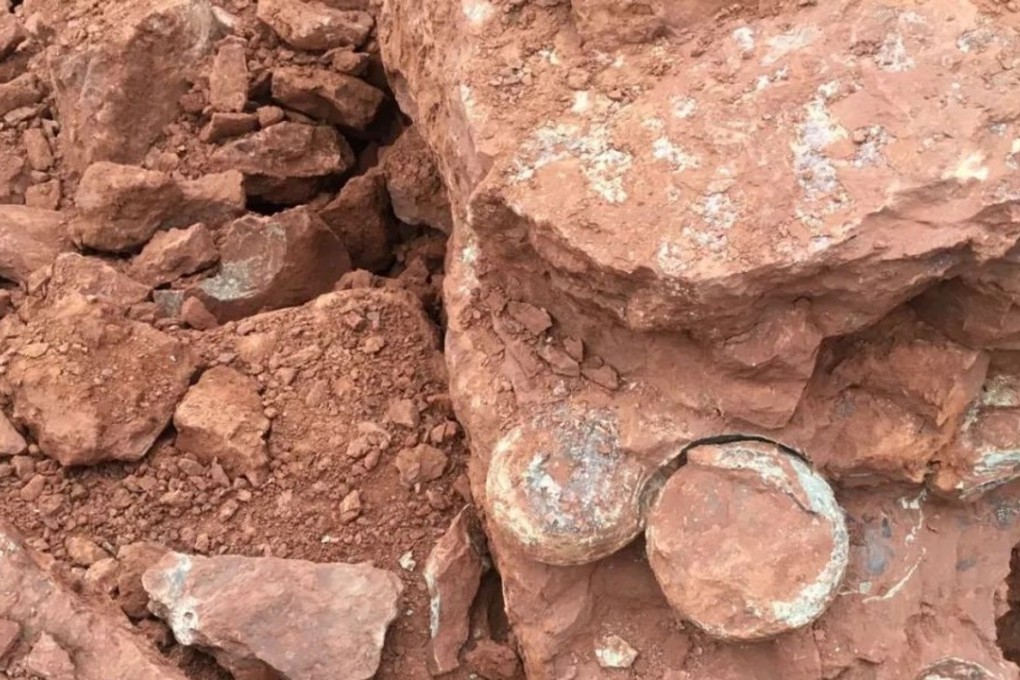 Construction workers couldn’t believe their eyes when they unearthed more than a dozen dinosaur eggs on a site in China’s eastern province of Zhejiang. Photo: The Paper