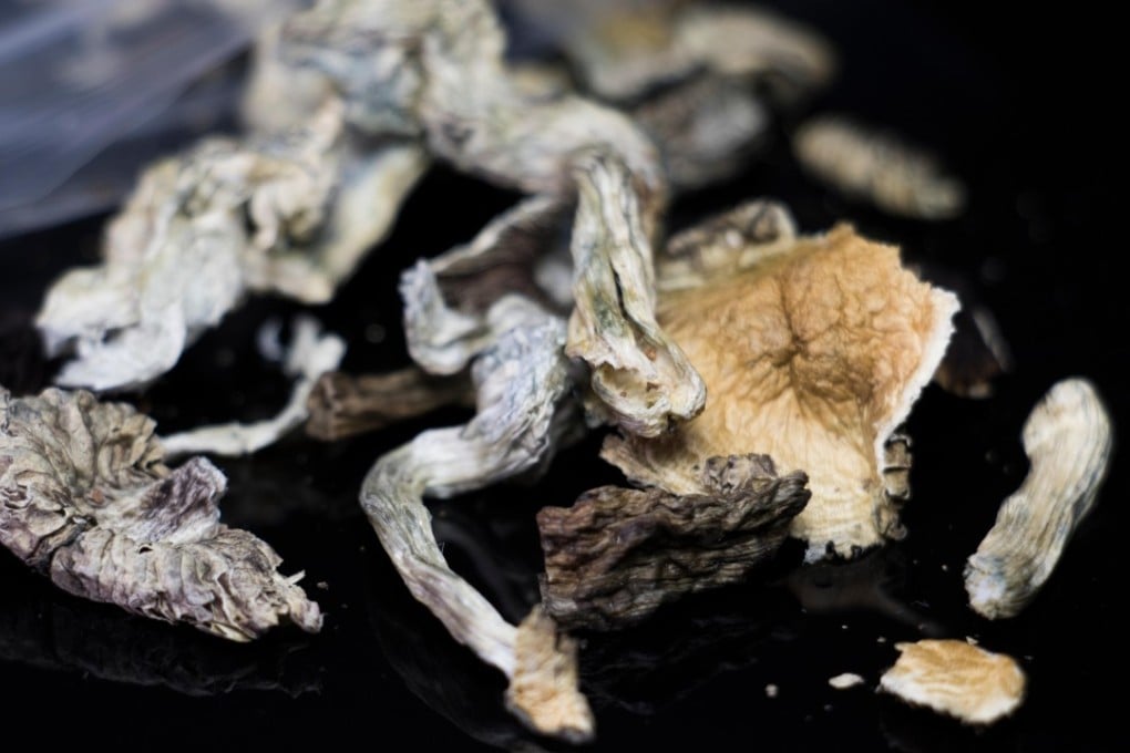Psychedelic mushrooms. Their medicinal properties are once again being investigated. Photo: Alamy