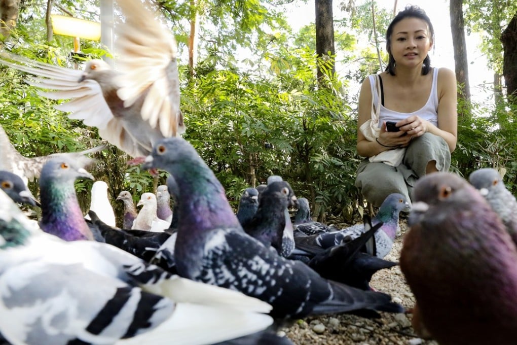 Gian, a pigeon rescuer who also runs a Facebook page that promotes well-being for the birds. Photo: Dickson Lee