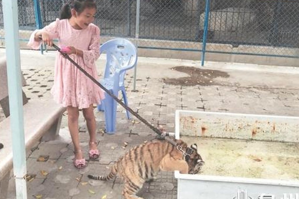 Sun Xiaojing with her friend Huniu, which means tiger girl. Photo: qzwb.com
