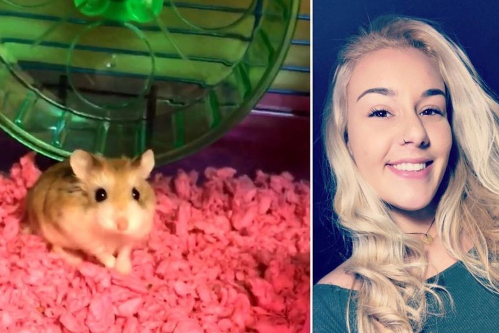 Belen Aldecosea was pressured to flush her emotional support hamster, Pebbles, down an airport toilet by Spirit Airlines after finding that, despite what she had been led to believe, the rodent was not allowed aboard a flight. Photo: Miami Herald/TNS