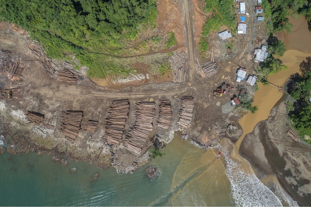A log landing area on the coast of the Solomon Islands with piles of timber waiting to be picked up pictured in July this year. Photo: Reuters