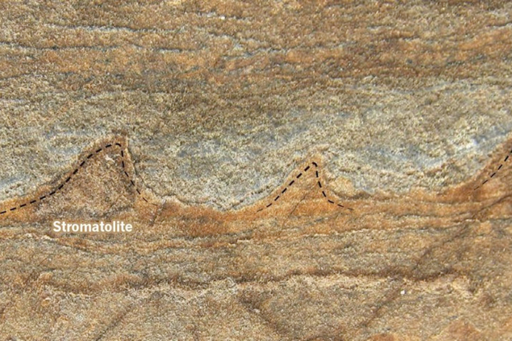 These rock formations were described as stromatolites, and the oldest fossils on Earth. But new research suggests they might just be rocks. Photo: Allen Nutman / Nature