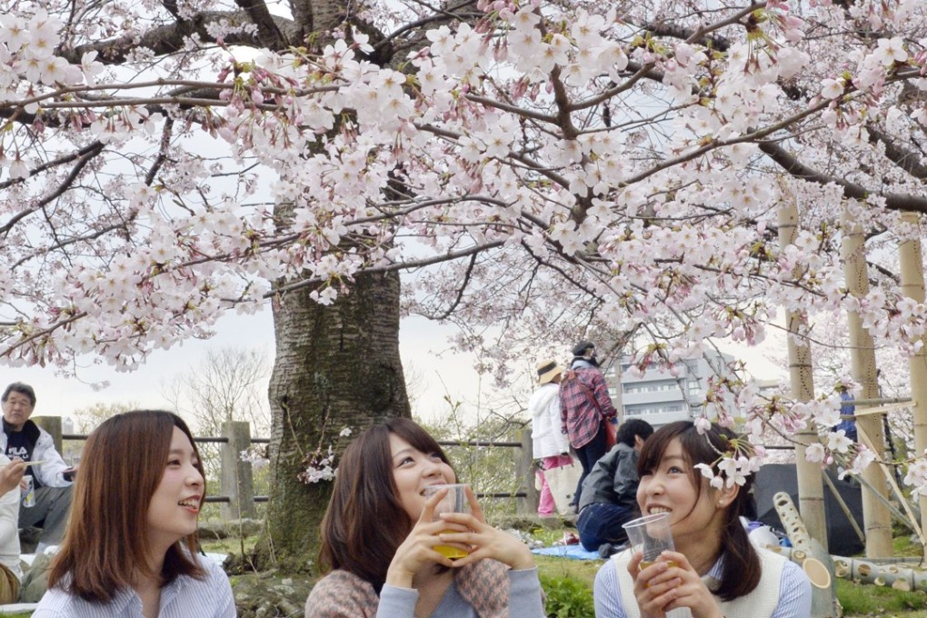 Experts said the flowers’ surprise appearance was probably linked to extreme weather events in Japan in recent weeks. Photo: Kyodo
