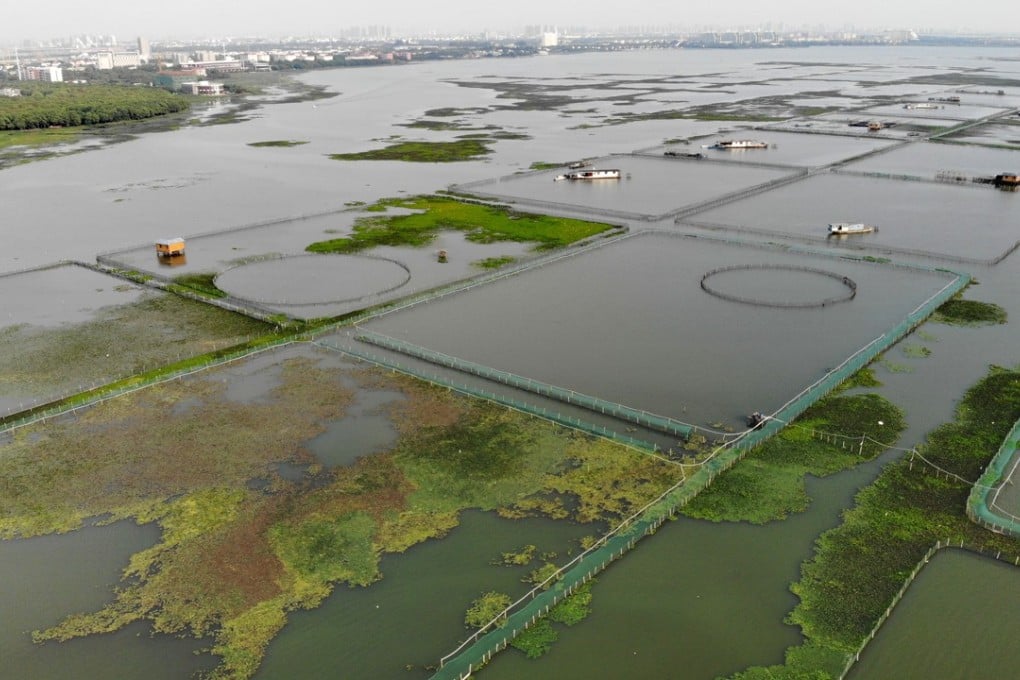 Hairy crab farms dot a section of the freshwater Yangcheng Lake, northeast of Suzhou in China’s Jiangsu province. Photo: Thomas Yau