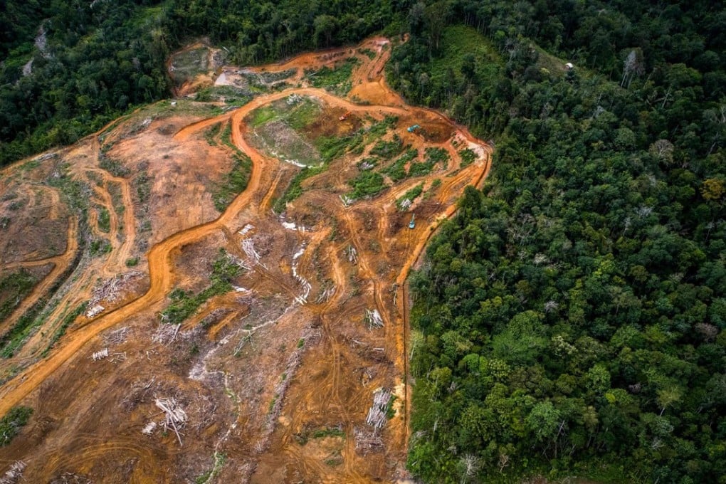 An aerial view of land cleared as a staging area for the building of a new hydroelectric dam in the Batang Toru rainforest, the only known habitat of the Tapanuli orangutan, on Sumatra island. Photo: AFP
