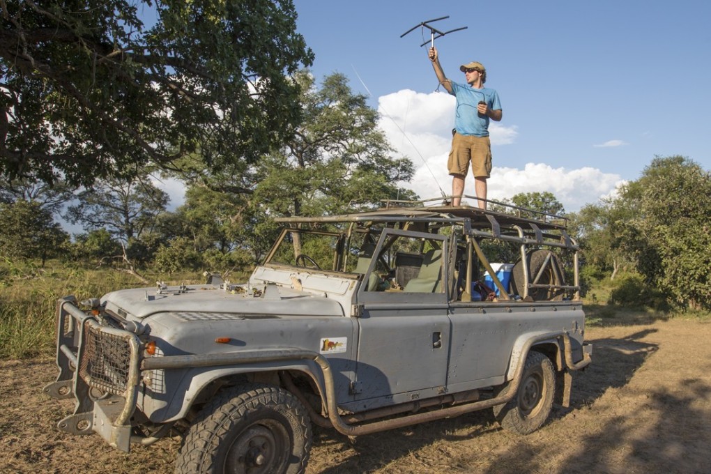 American biologist Johnathan Merkle tracks the pack of wild dogs. Pictures: Daniel Allen