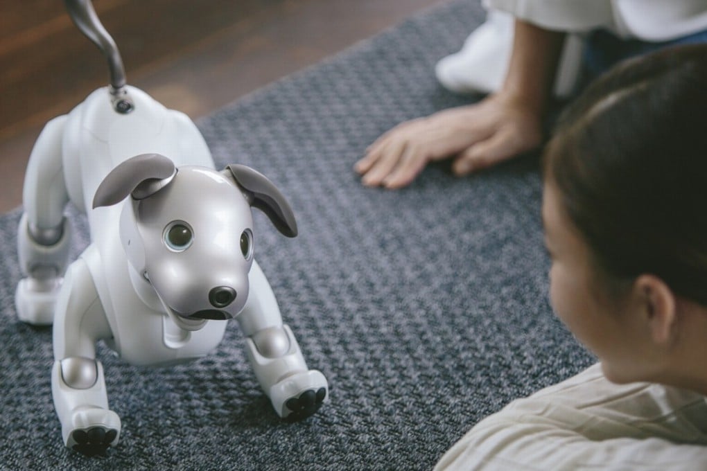 Sony’s new aibo, an artificially intelligent robo pet, can ‘learn’ over time, can apparently recognise up to 100 faces, and knows the difference between a child and an adult.