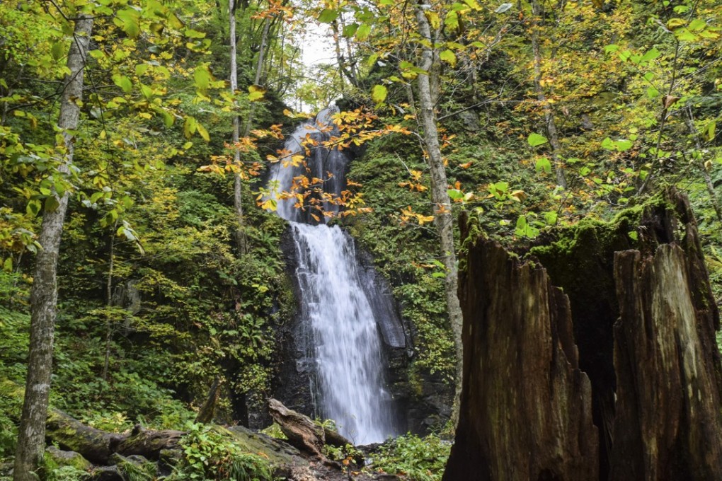 The autumn colours begin to show around the Kumoi waterfall in the Oirase Gorge below Lake Towada in Aomori, Japan. Photo: Pete Ford