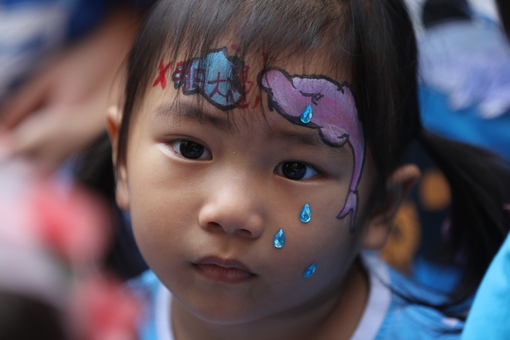 A girl wears make-up depicting the threat to Hong Kong’s iconic pink dolphins if the mega reclamation project off Lantau Island goes ahead, at a protest on October 14. Photo: Edward Wong