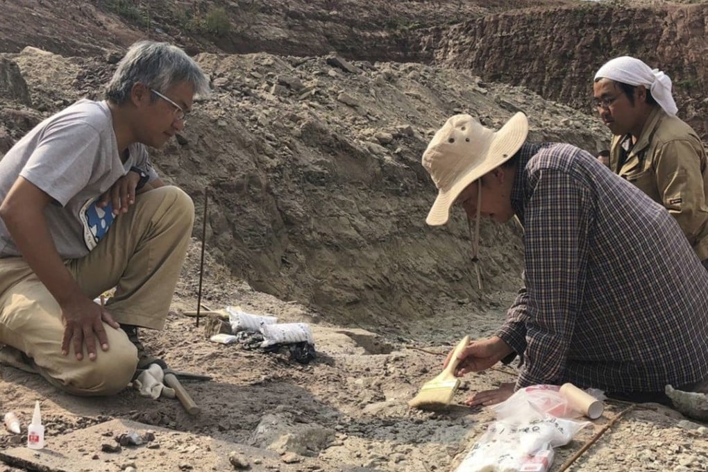 Chinese palaeontologist Xu Xing brushes away sediment to examine fossils at a dig site in Yanji, China. Photo: AP