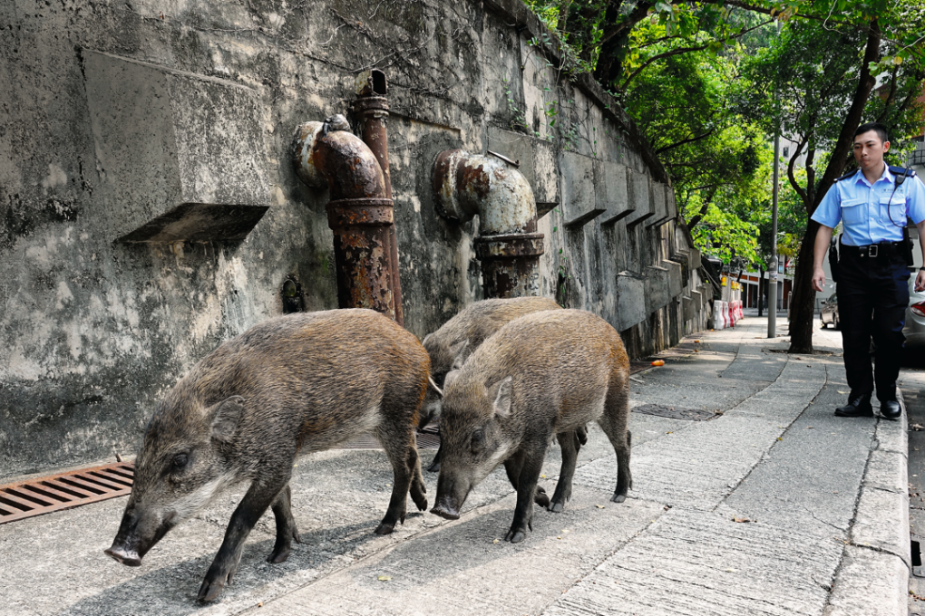 The scene on Tung Lo Wan Road, in Causeway Bay, on October 9.