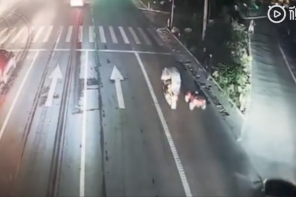 Police intervened after the youngster had driven for about 2km through an east China city in his plastic jeep. Photo: Handout