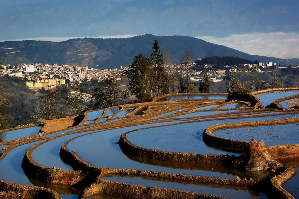 The traditional remedy was developed in Yunnan province over a century ago. Photo: Xinhua