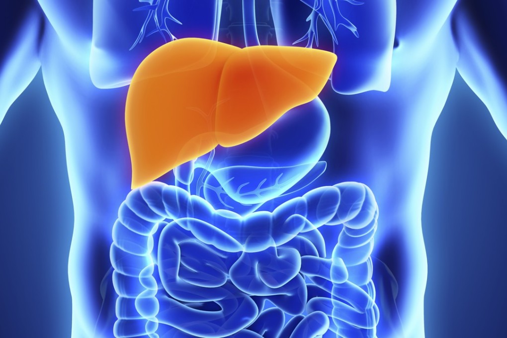 Hepatitis C affects the liver. Photo: Shutterstock