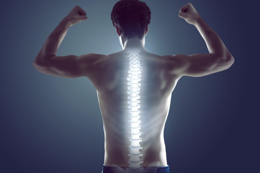 Improving your core strength will help maintain the health of your spine – shaped like a letter ‘S’ to provide balanced support for the head and upper body – which contains more than 100 joints. Photo: Shutterstock