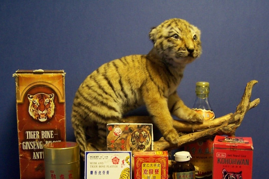 Traditional medicine products containing tiger bone.