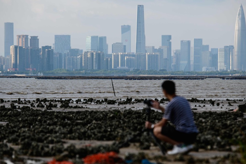 A man in Hong Kong looks across Deep Bay towards Shenzhen, one of nine Guangdong cities included in the ‘Greater Bay Area’ project. Photo: AFP