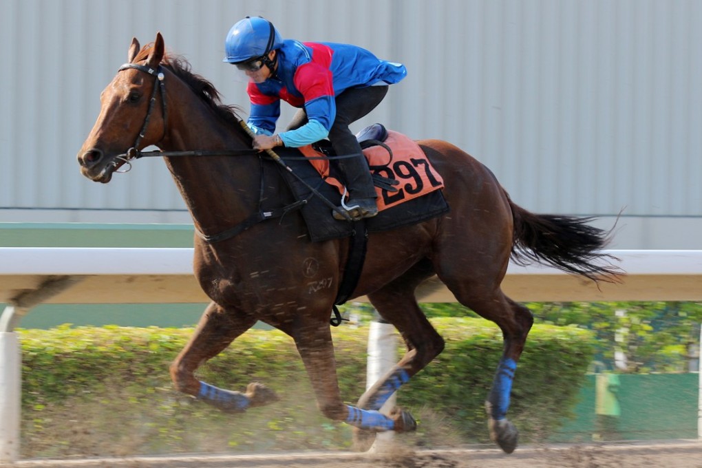 Keith Yeung rides Coby Boy in a recent gallop. Photos: Kenneth Chan