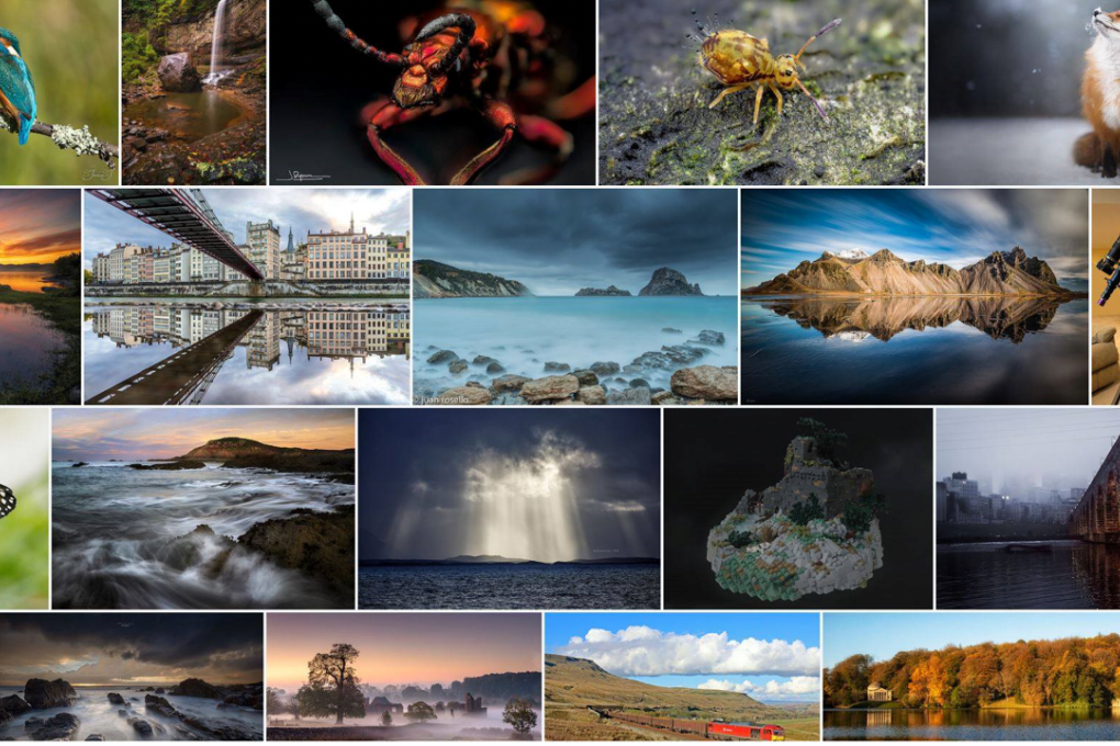 The user interface for the photo-sharing and storage platform Flickr. Photo: Flickr