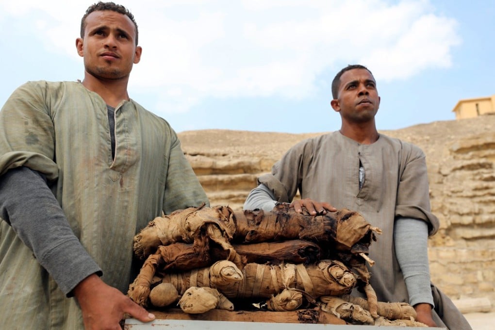 Workers carry mummified cats that were discovered in the tomb. Photo: Reuters