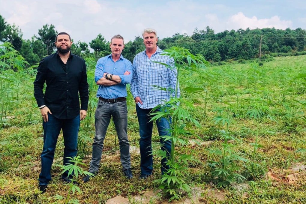 CannAcubed cofounders Ronnie Weisz, Glenn Davies, Mark Roberts. Photo: Handout