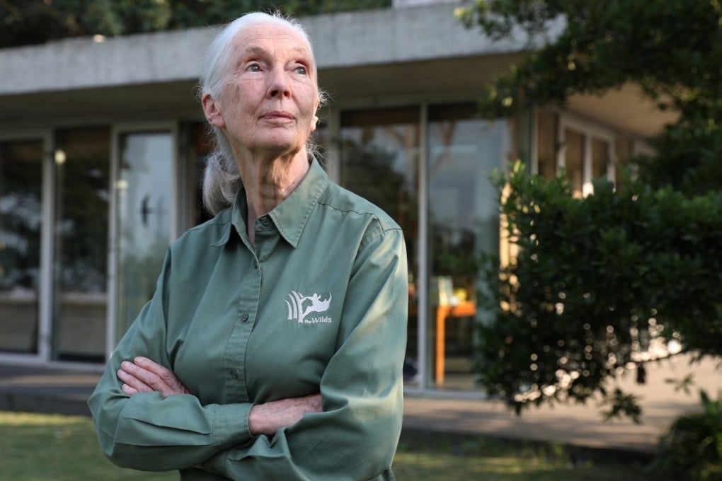 Dr Jane Goodall, 84, renowned British primatologist and founder of the Jane Goodall Institute, at Kadoorie Farm and Botanic Garden in Tai Po. Photo: Nora Tam
