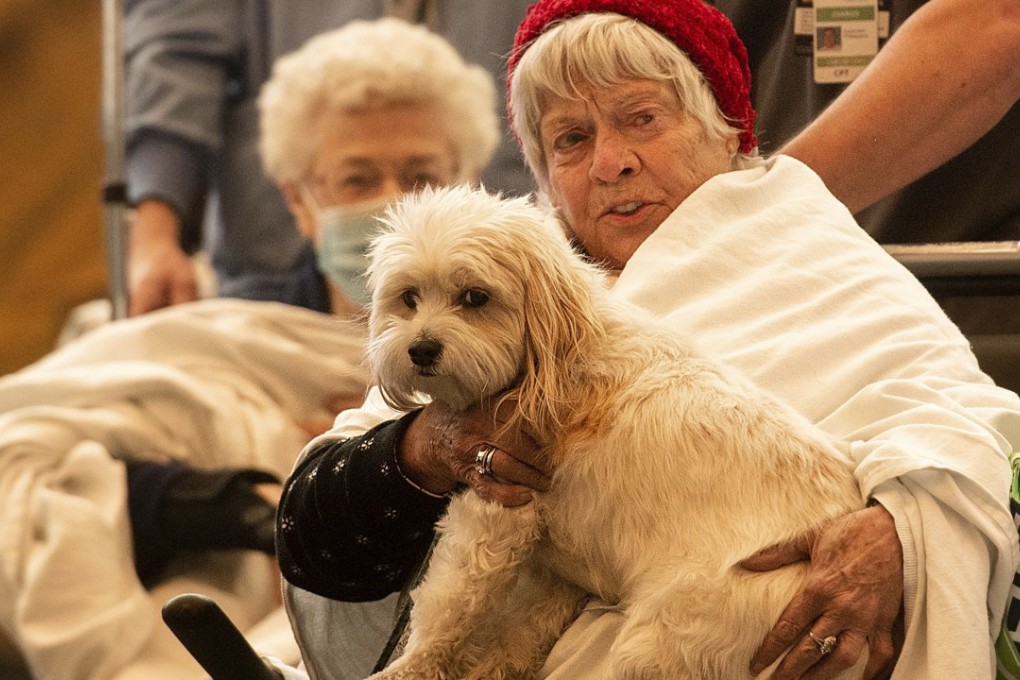 Medical personnel evacuate patients and their pets. Photo: AP