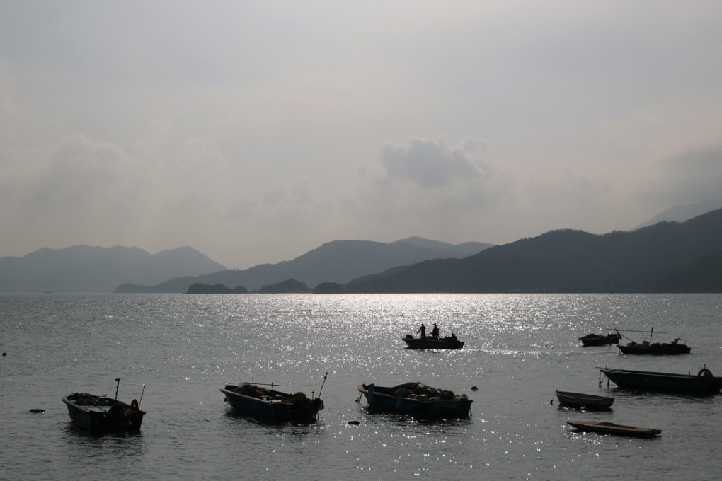 The planned reclamation will happen on the edges of Lantau Island. Photo: Edmond So