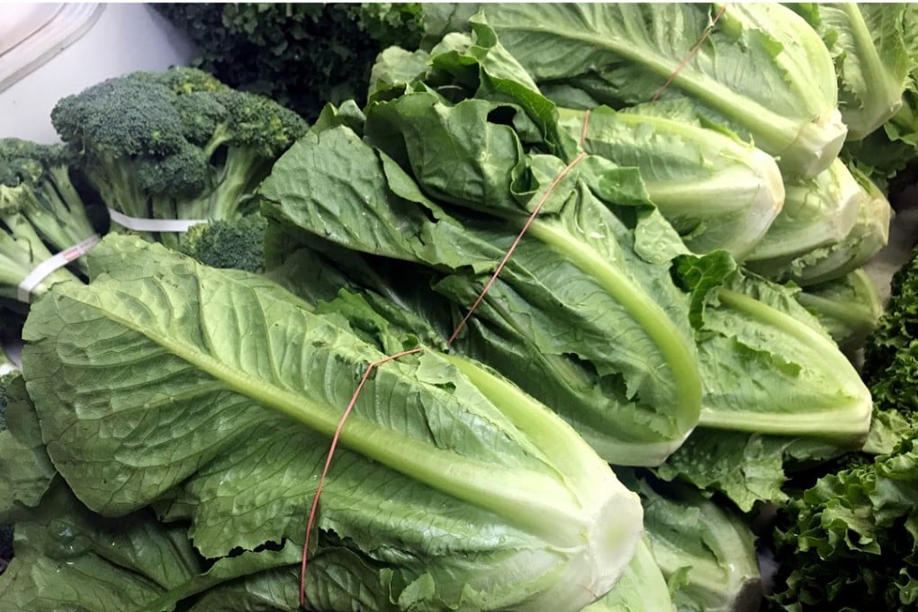 An outbreak of E coli infection in the US and Canada might be linked to romaine lettuce, also known as cos lettuce. Photo: Reuters