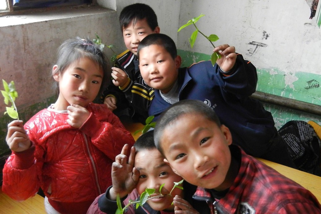 Migrant children learn about plants in a class on the environment. Even though Chinese law mandates all migrant children be given access to education, some schools impose additional requirements for them to enrol, in an effort to make access harder. Photo: JGI China