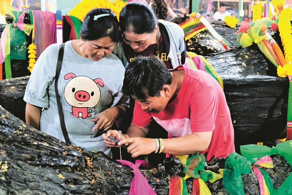 People scrutinise the bark of a sacred tree at a Buddhist temple in rural Pathum Thani province, in central Thailand, in the hope of finding lottery numbers on it. Photo: Tibor Krausz