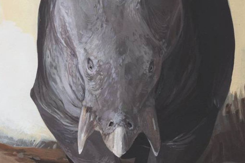 An artistic reconstruction of the front view of the Triassic Period mammal cousin Lisowicia bojani. Graphic: Karolina Suchan-Okulska/Reuters