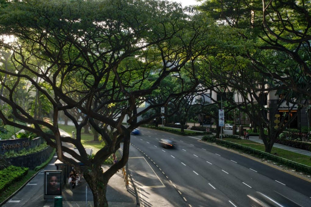 FK1J06 Tree lined street, Singapore [09AUGUST2018 LIFE_SINGNATION] CREDIT: ALAMY
