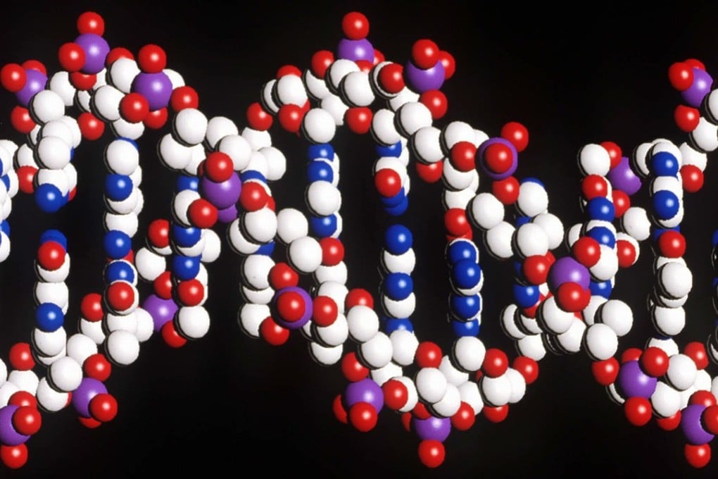 By 2025 up to 2 billion human genomes could be sequenced. Photo: Handout