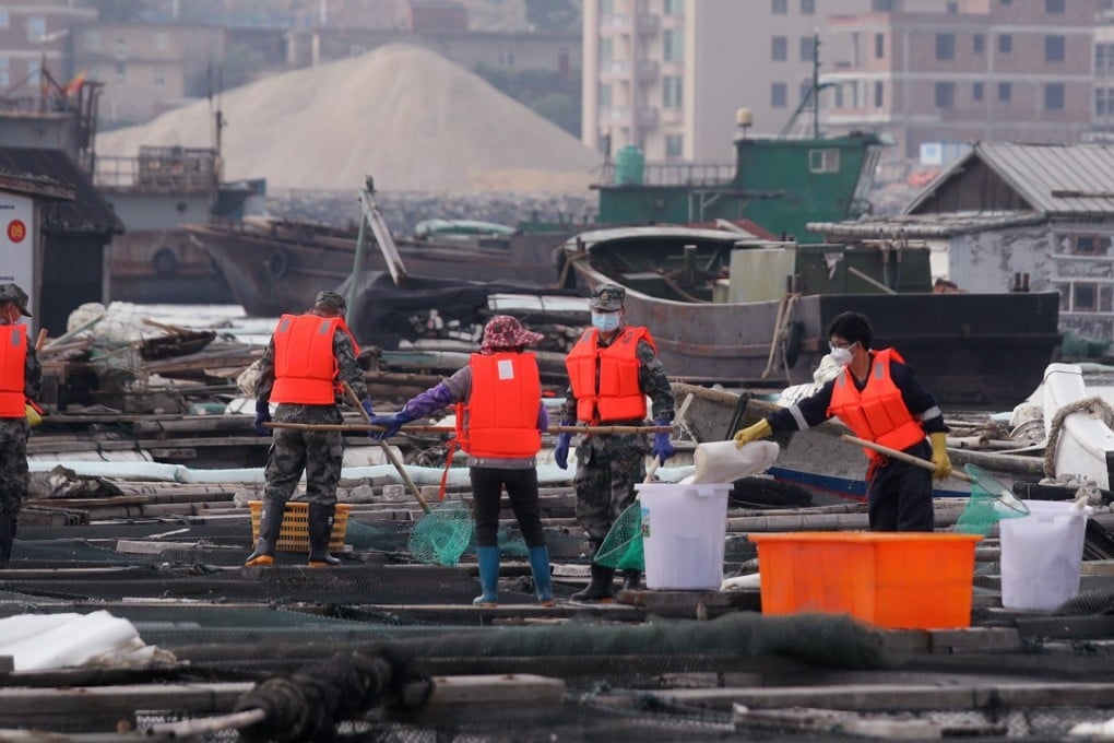 Xiaocuo villagers cleaning up after the spill complained few safety precautions were taken to protect them from the polluted air and seawater. Photo: Xiaomei Chen