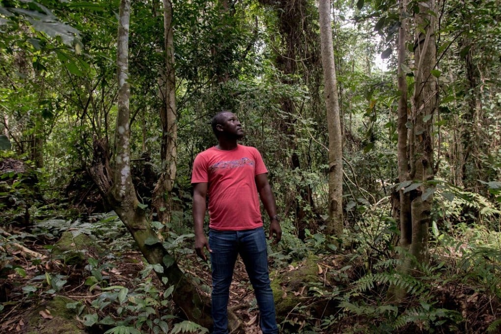 Daryl E. Bosu, deputy national director of the Ghanian NGO Arocha poses in the Kyebi Forest Reserve in the East Akim Municipal district in Eastern Region, Ghana, this month. Photo: AFP