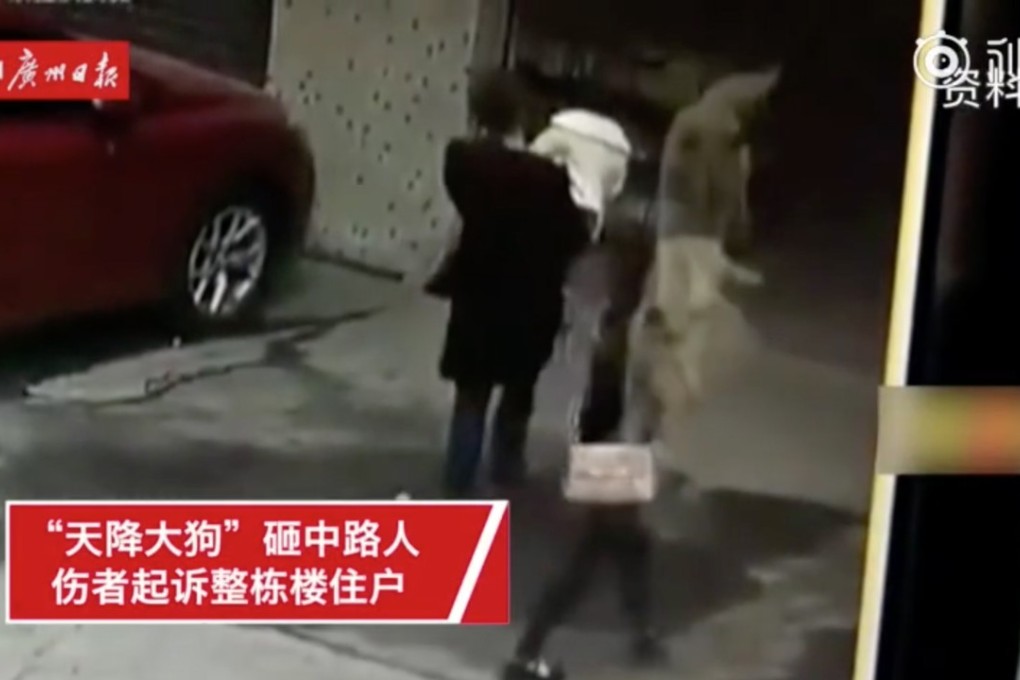 CCTV footage showed the dog falling on to the woman outside the factory building. Photo: Huaxi City Daily