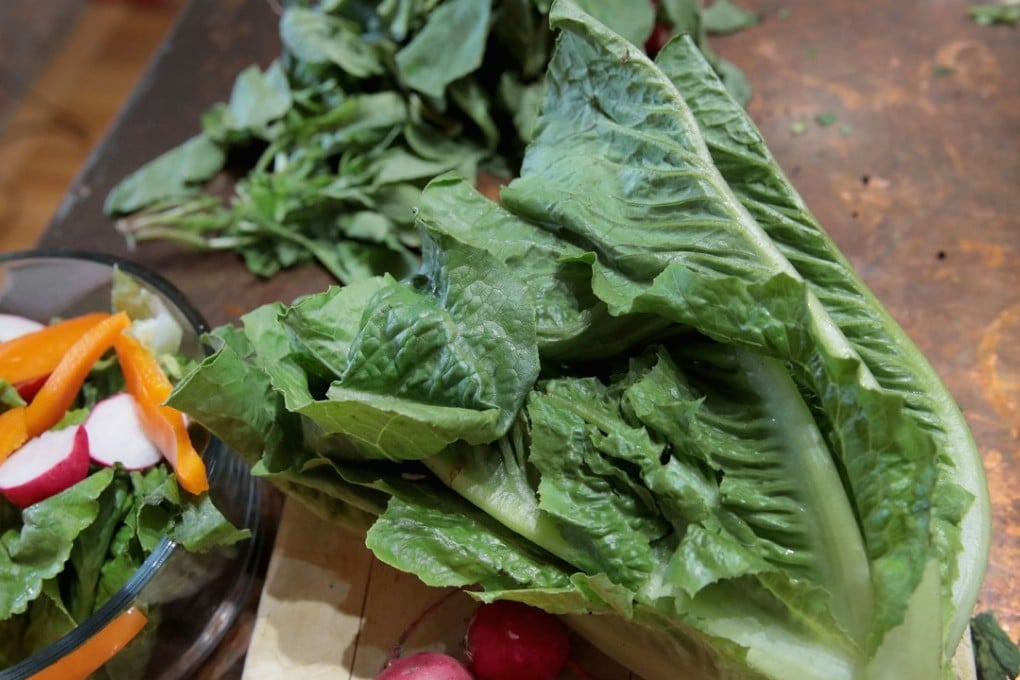 Health officials in Hong Kong have followed their counterparts in the US and Canada in warning people to avoid eating romaine lettuce, which has been linked to an E coli outbreak that has caused dozens of people to become ill. Photo: Getty Images