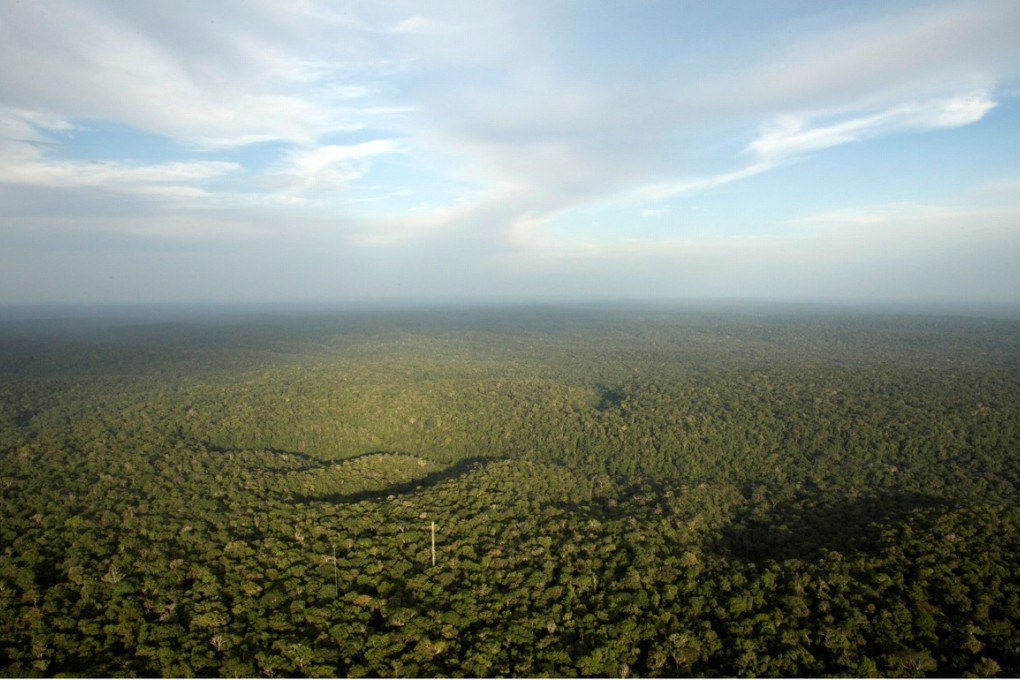 rainforest: Football-pitch-sized area cleared every minute - BBC  Newsround