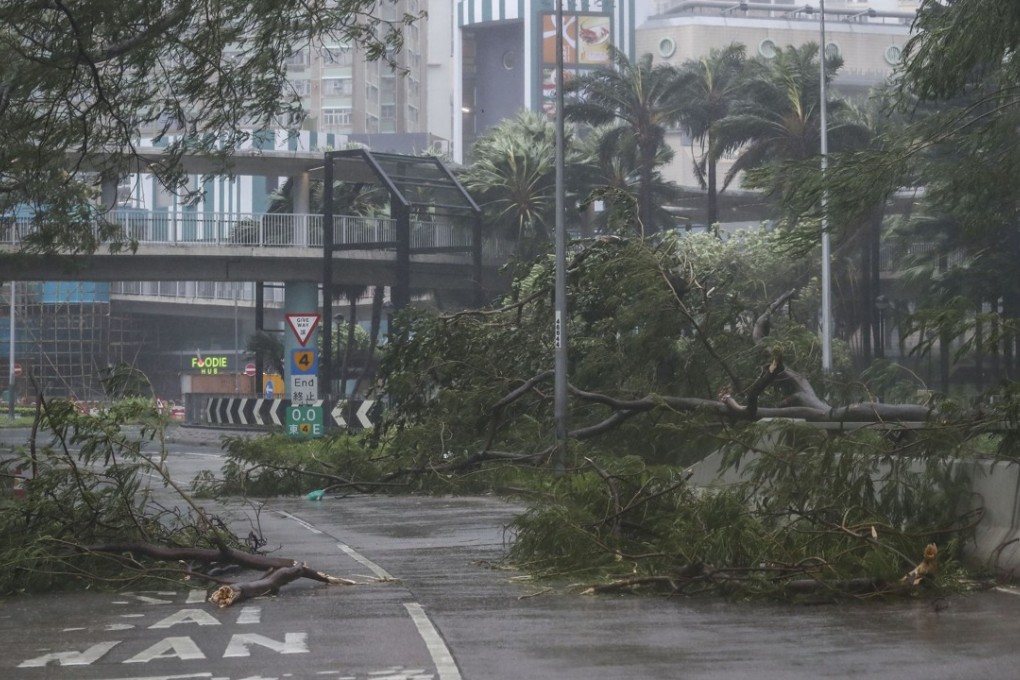 Opposition lawmakers have resorted to scaremongering by questioning why soldiers from the Hong Kong garrison were allowed to help in the Typhoon Mangkhut clean-up. Photo: Nora Tam