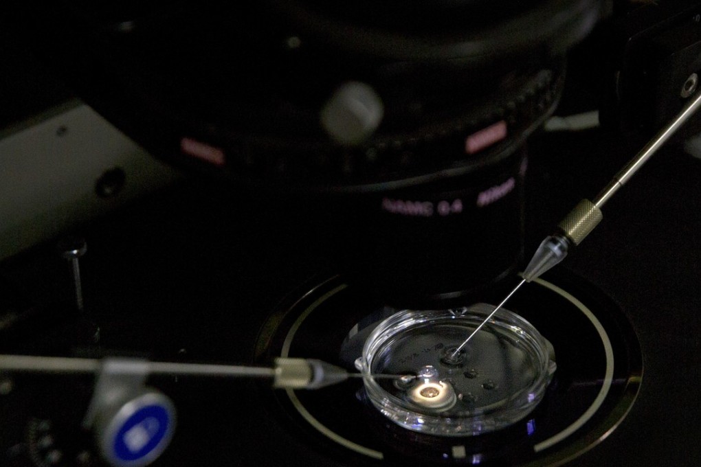 In this photo dated October 9, an embryo receives a small dose of Cas9 protein and PCSK9 sgRNA in a sperm injection microscope in a laboratory in Shenzhen. Chinese scientist He Jiankui claims he helped make the world’s first genetically edited babies: twin girls whose DNA he said he altered. Photo: AP